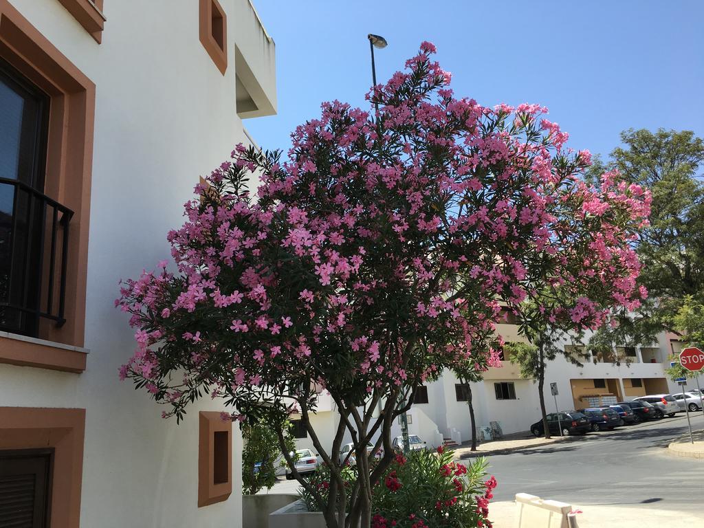 Lovely Beach Apartment Bellavista Αλμπουφέιρα Εξωτερικό φωτογραφία